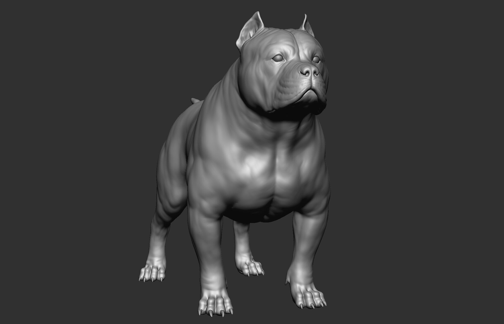 Dog breed collection  8 types of dogs 3D model_61