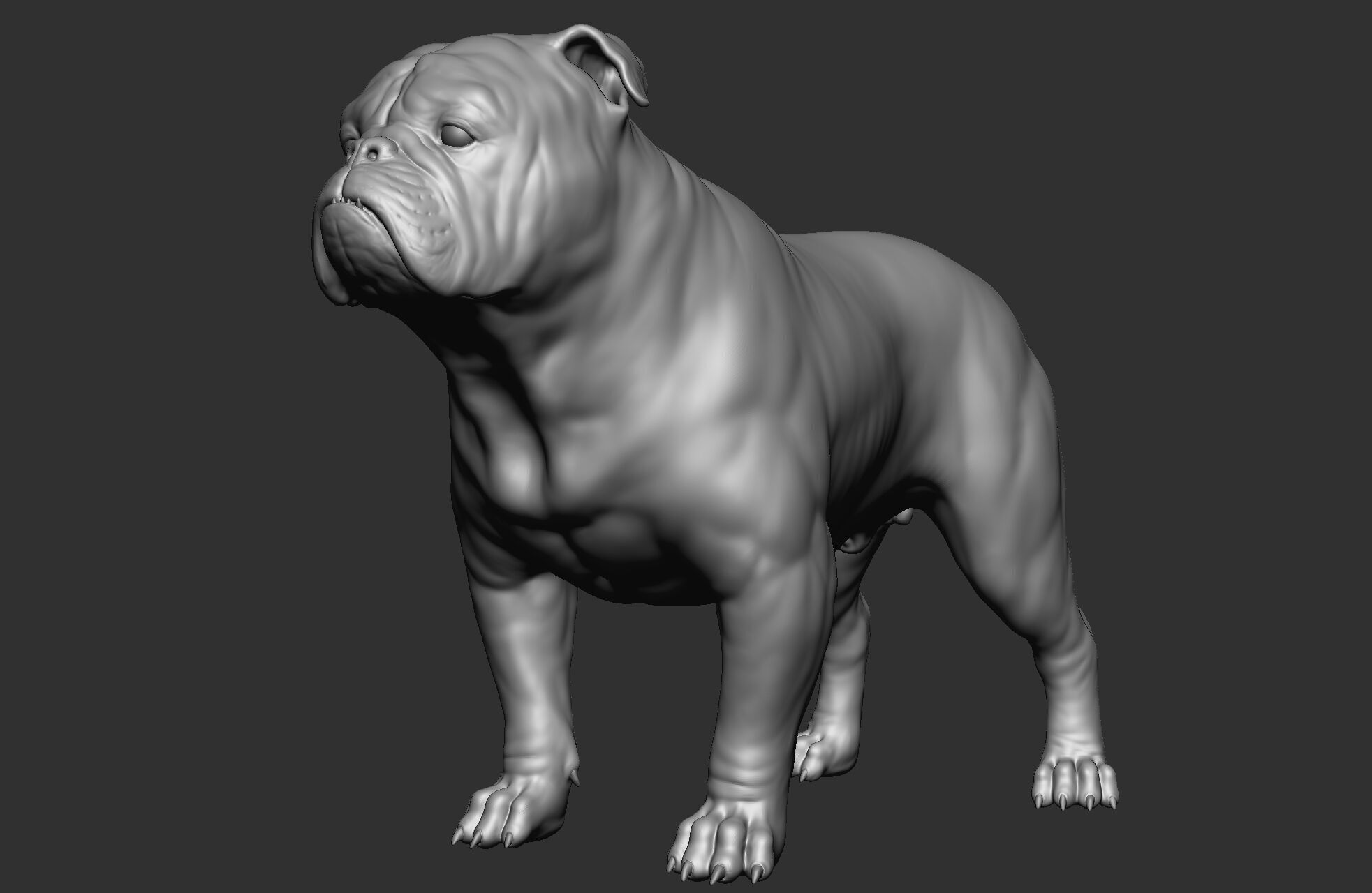 Dog breed collection  8 types of dogs 3D model_10
