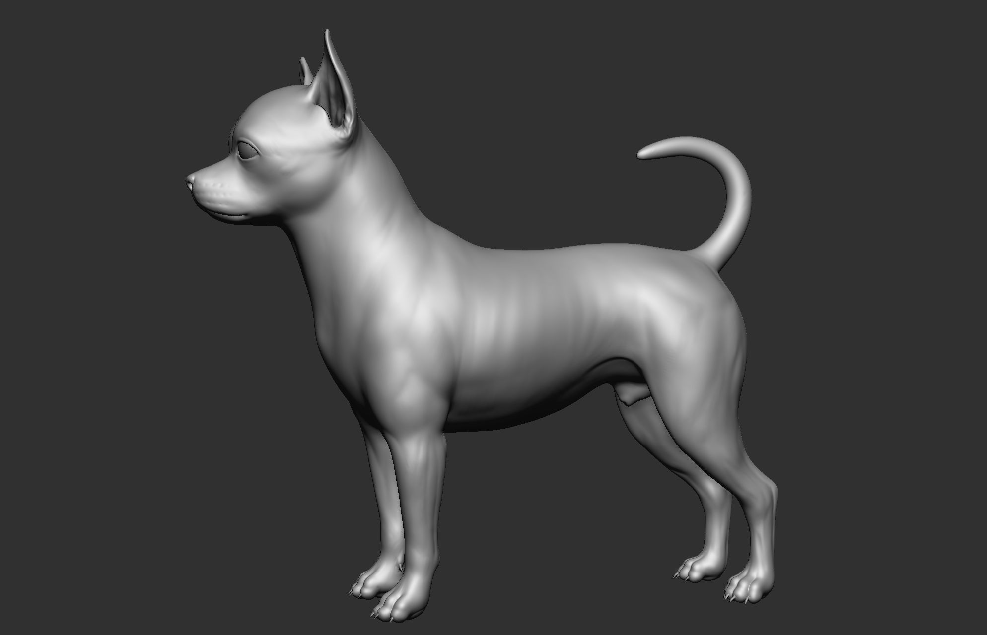 Dog breed collection  8 types of dogs 3D model_71