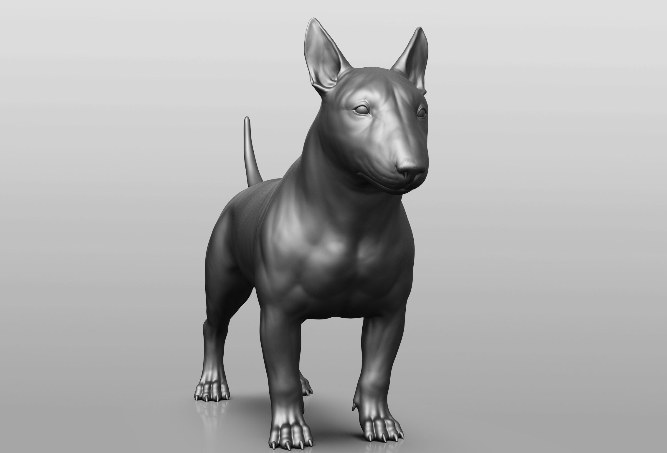Dog breed collection  8 types of dogs 3D model_49
