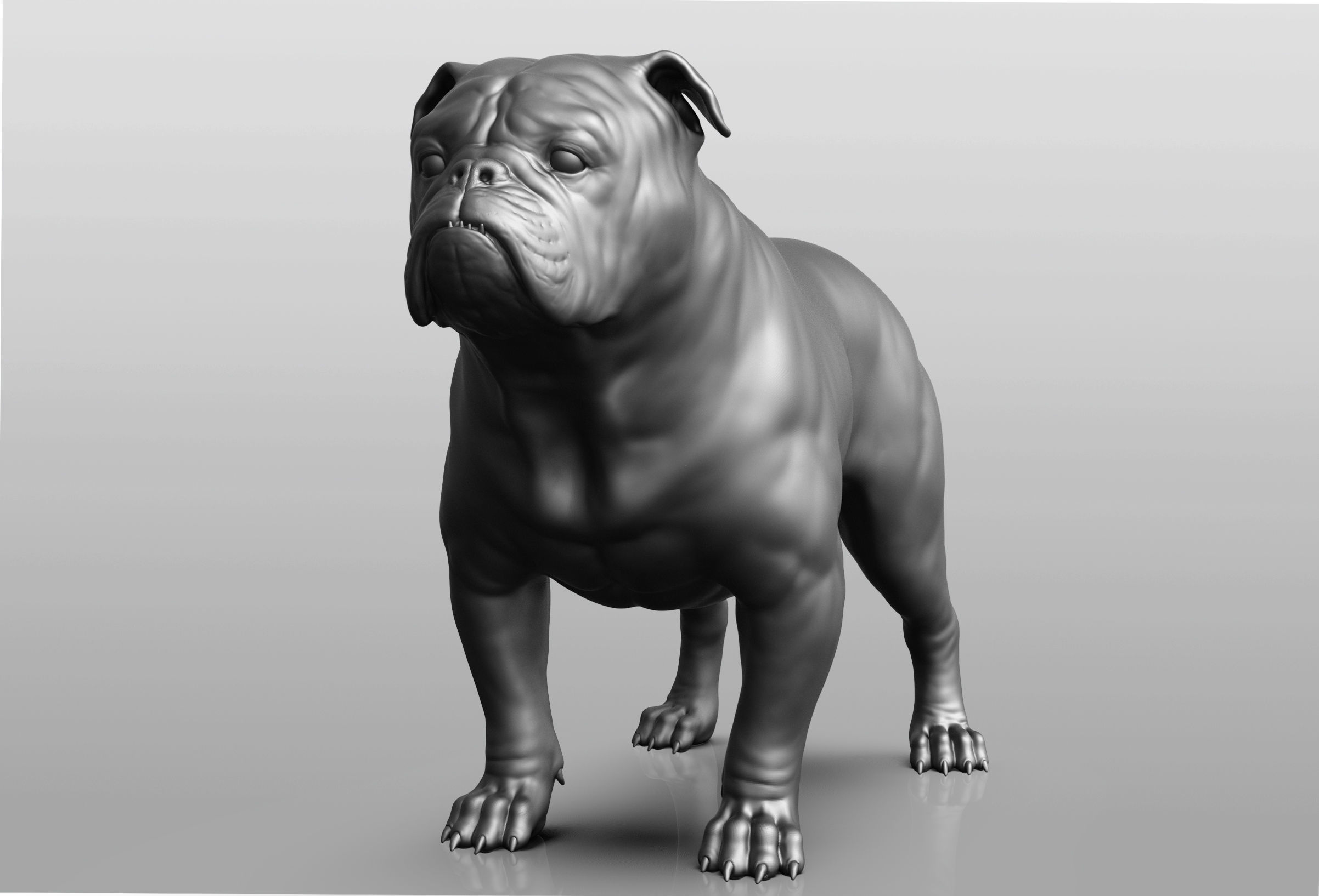 Dog breed collection  8 types of dogs 3D model_5