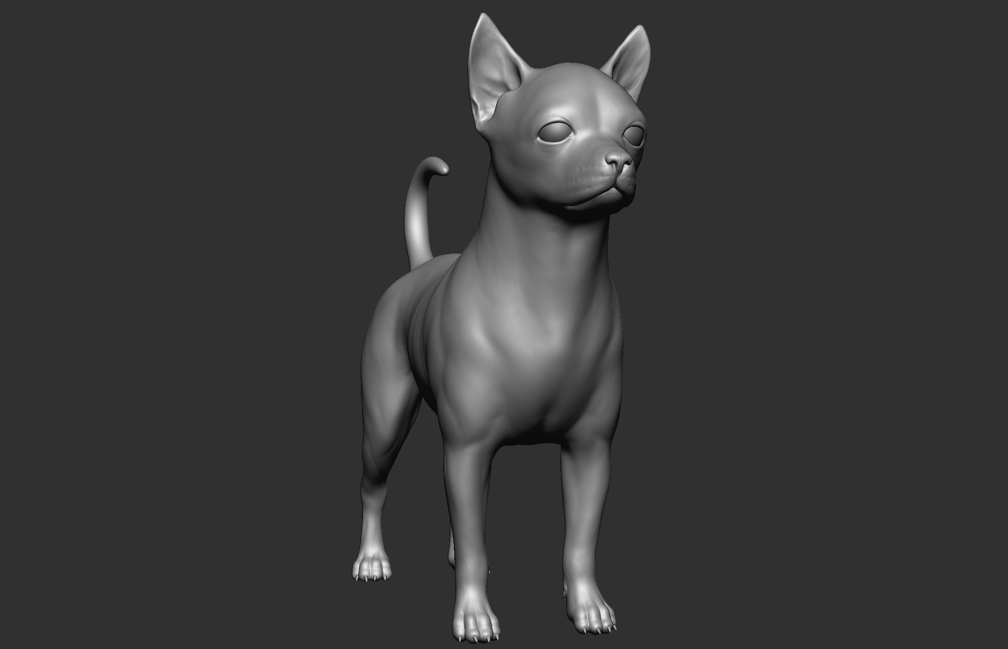 Dog breed collection  8 types of dogs 3D model_69