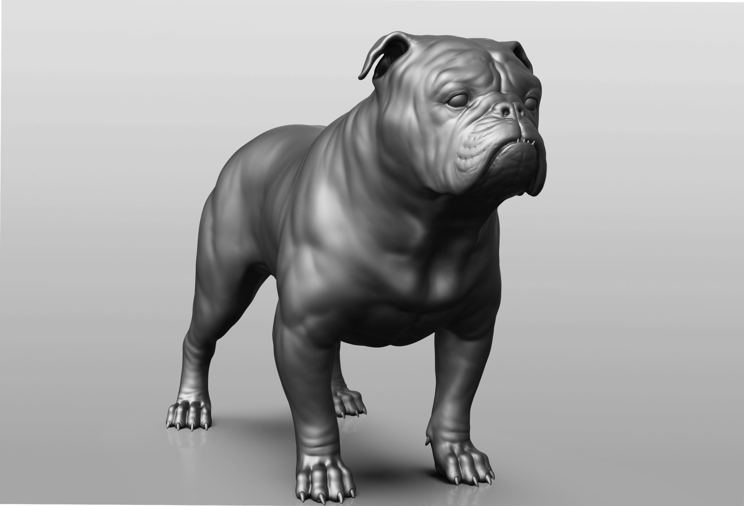 Dog breed collection  8 types of dogs 3D model_6