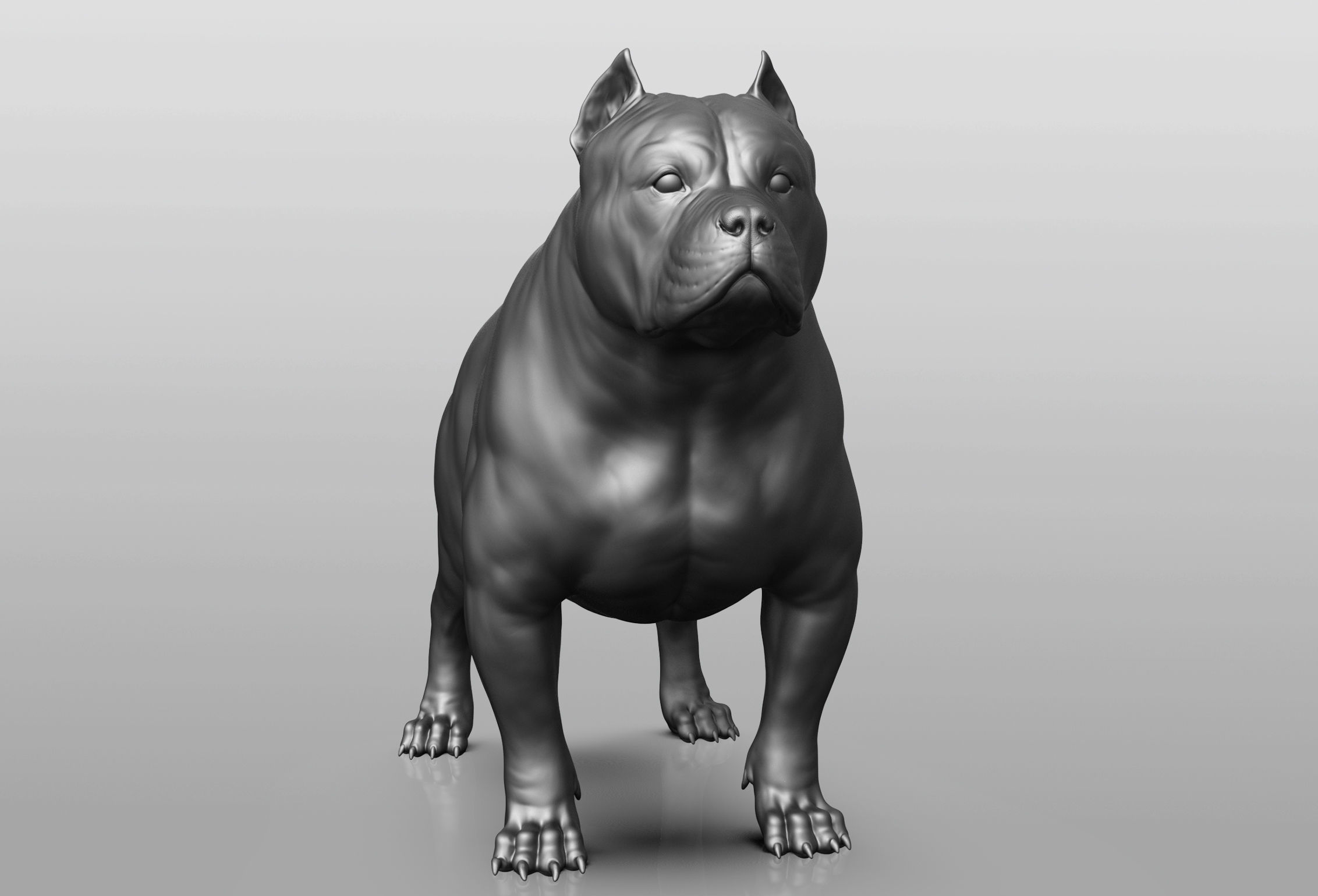 Dog breed collection  8 types of dogs 3D model_57