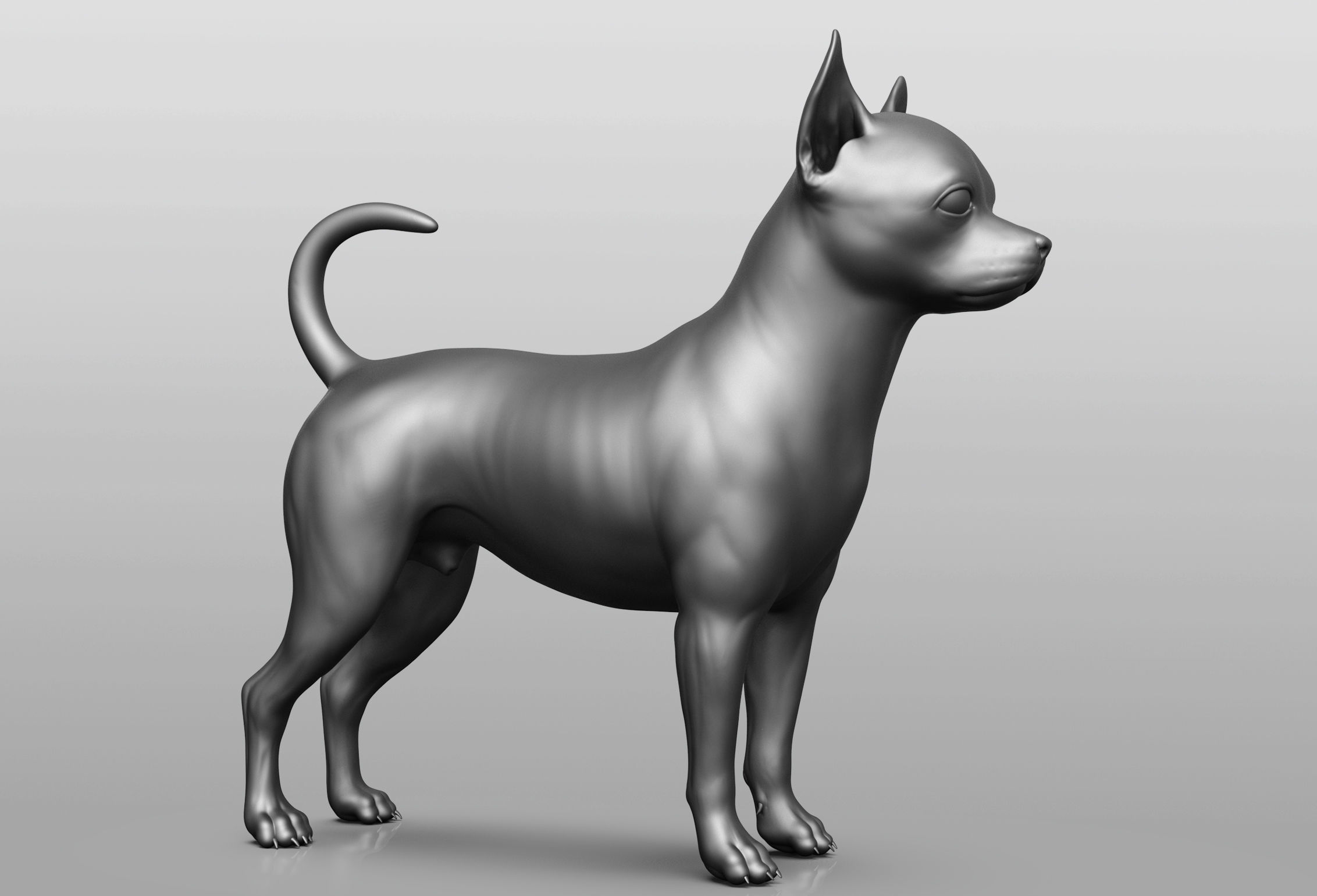 Dog breed collection  8 types of dogs 3D model_67