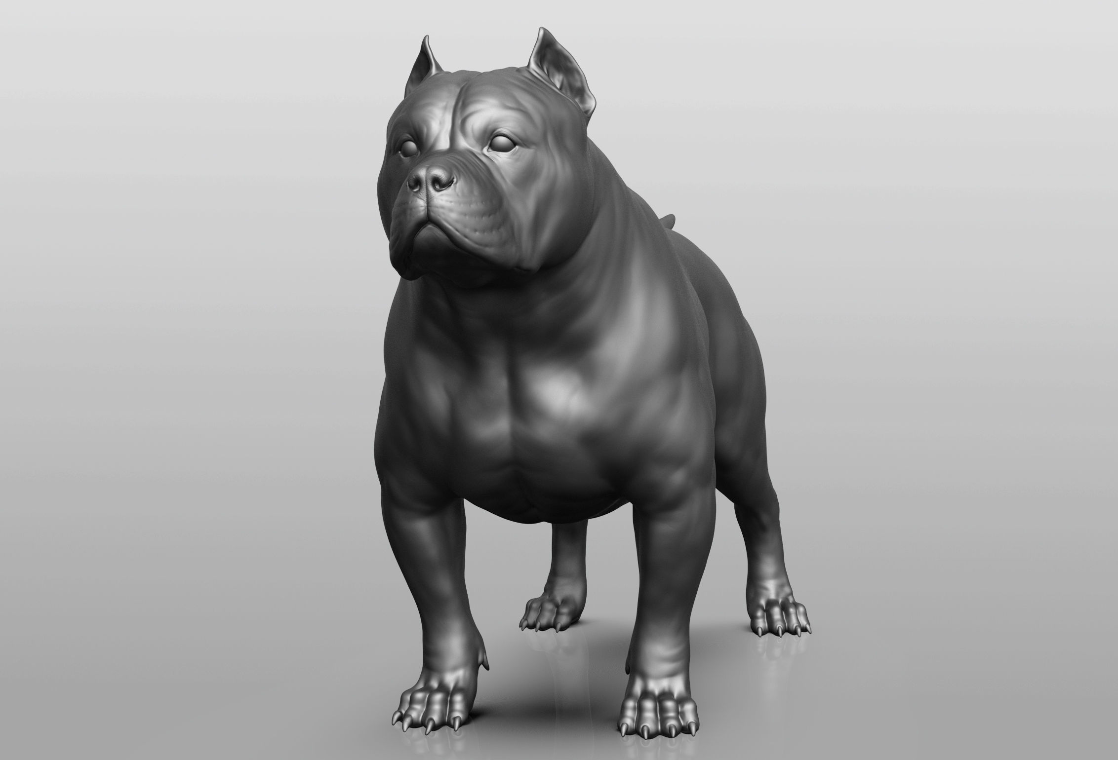 Dog breed collection  8 types of dogs 3D model_58
