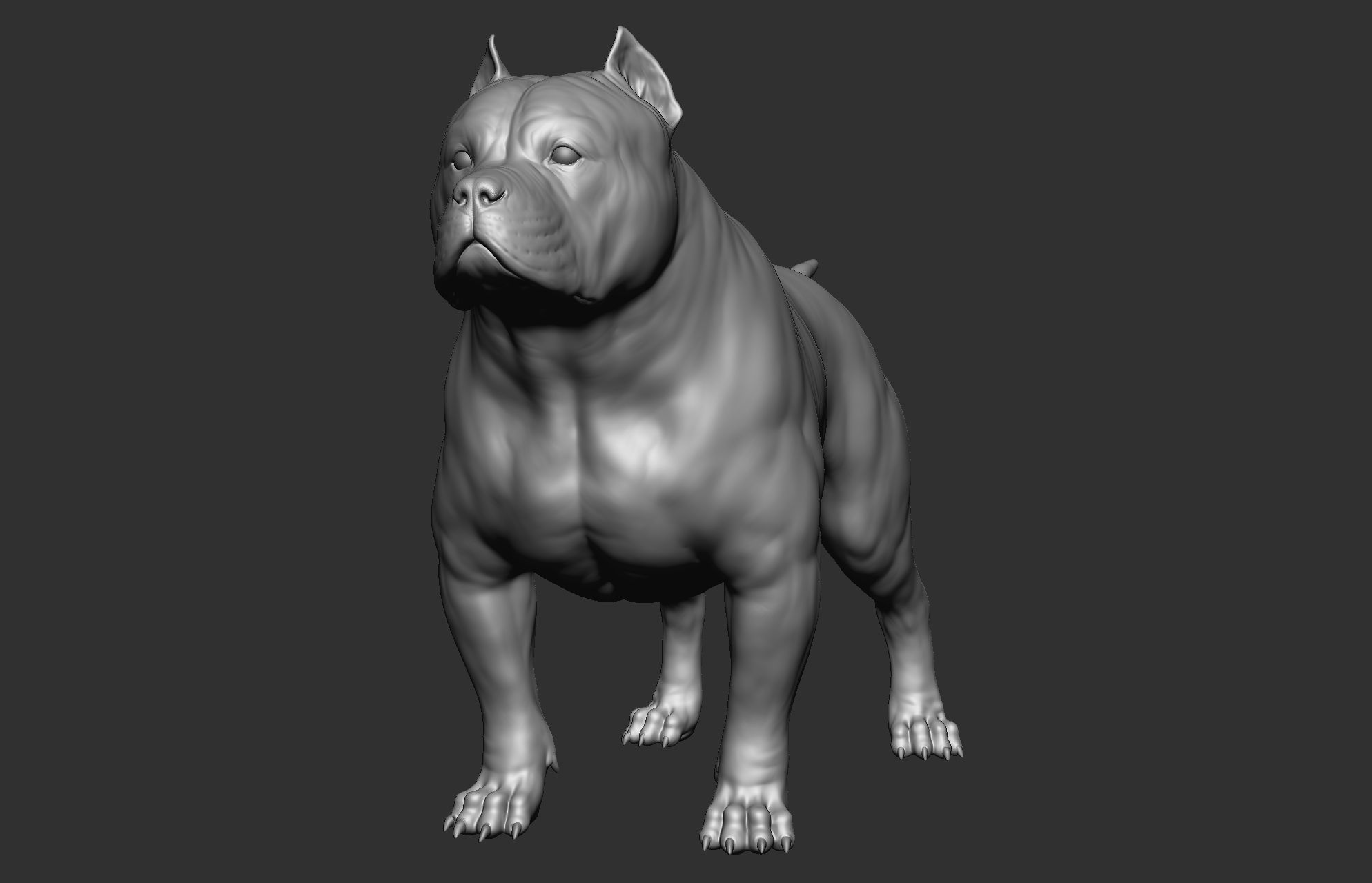 Dog breed collection  8 types of dogs 3D model_65