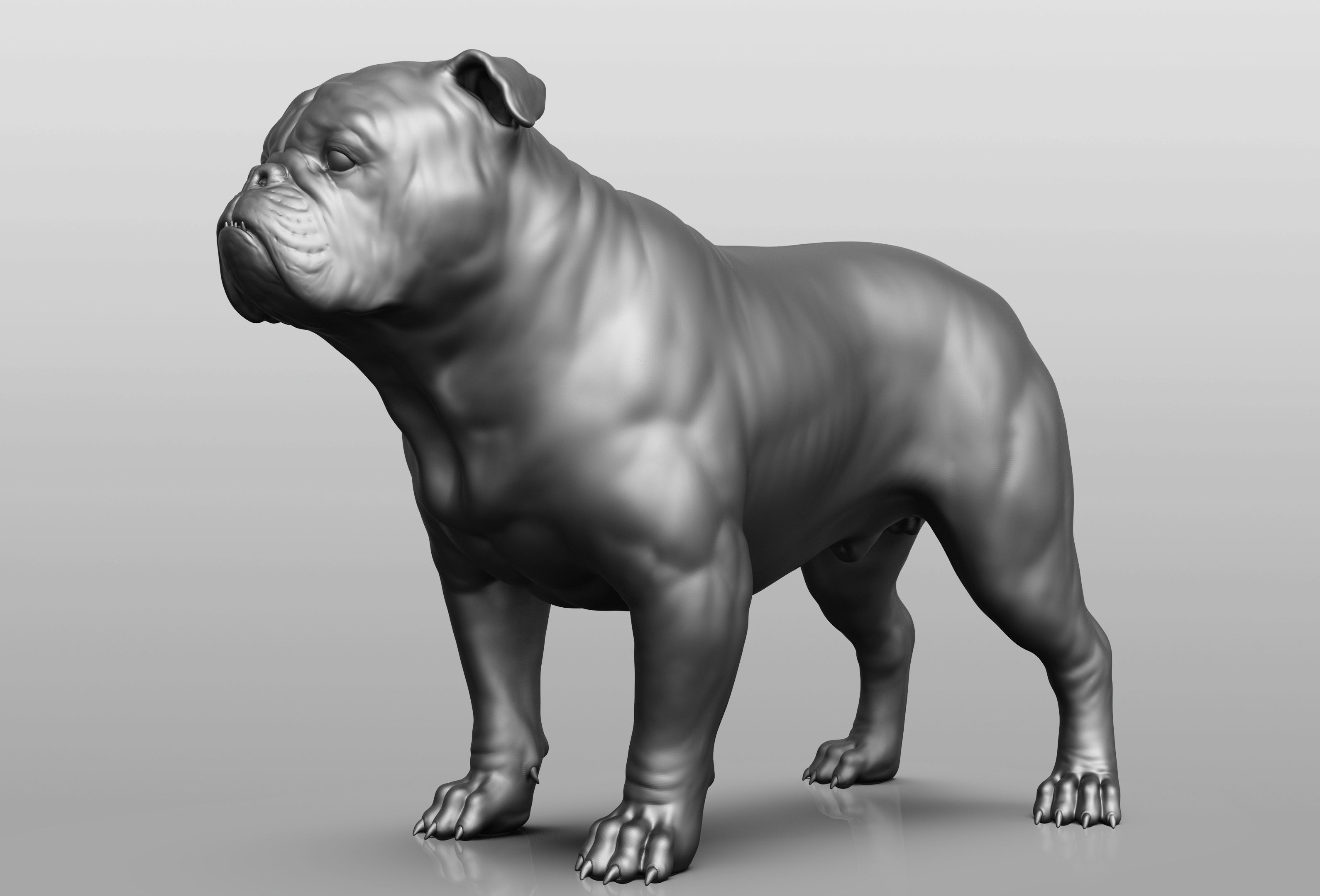 Dog breed collection  8 types of dogs 3D model_1
