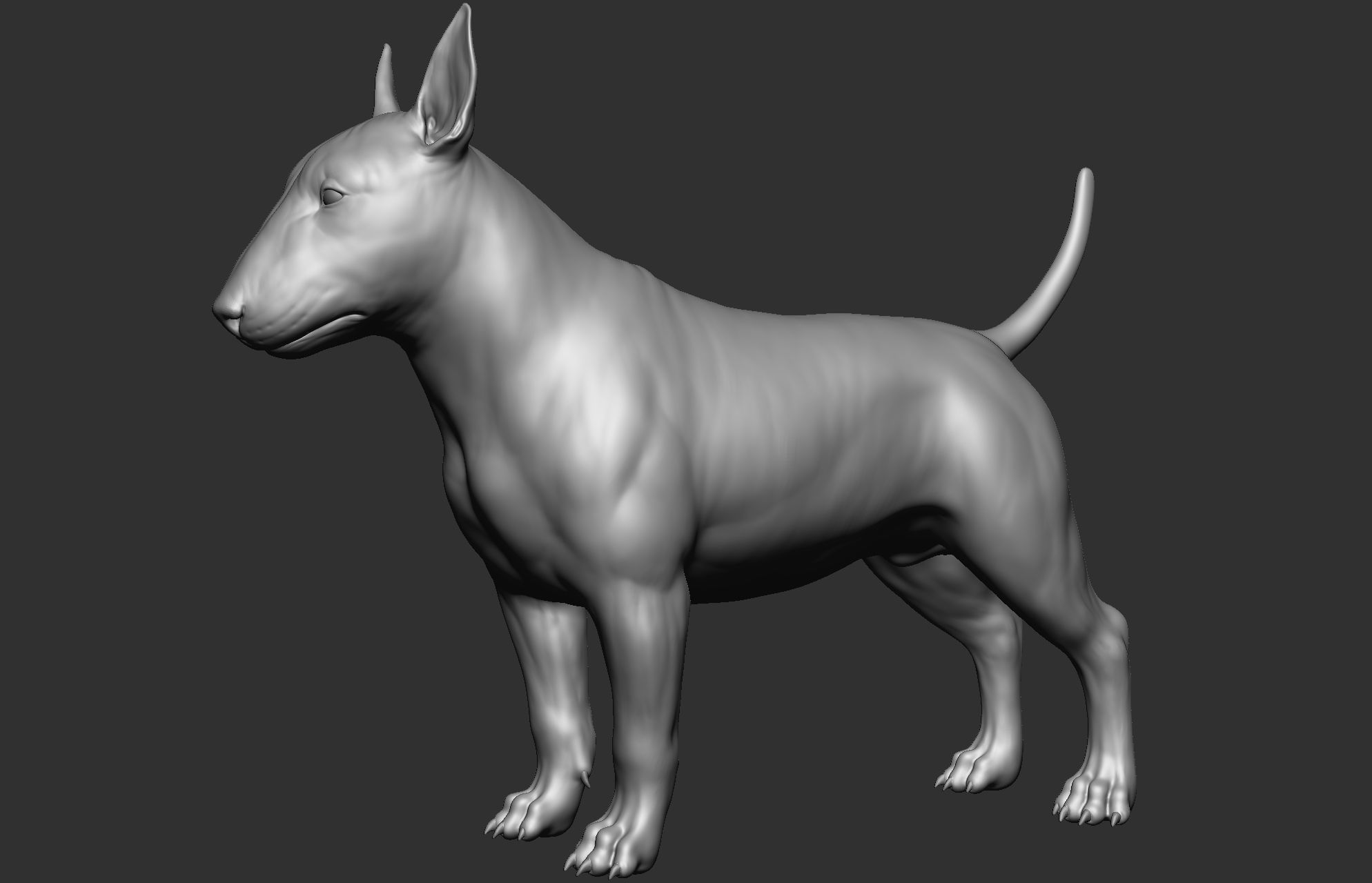 Dog breed collection  8 types of dogs 3D model_53
