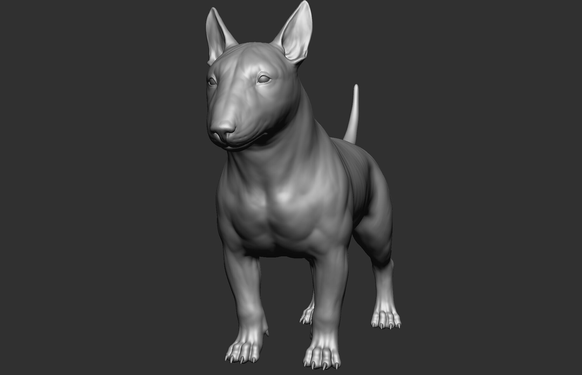 Dog breed collection  8 types of dogs 3D model_50