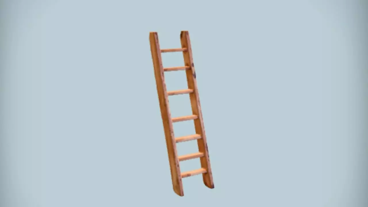 Wooden ladder with several rungs 3D model