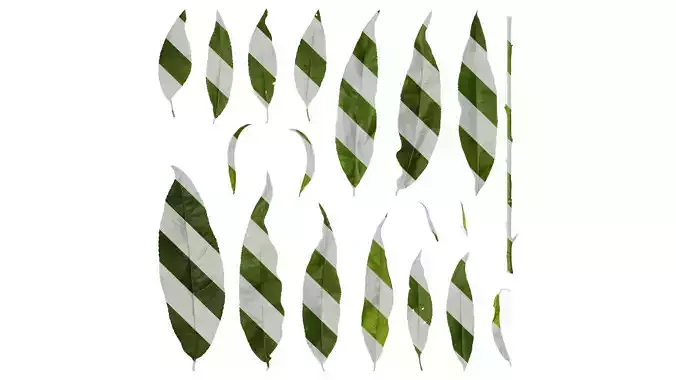 Anydrafts Prunus persica Leaf 01