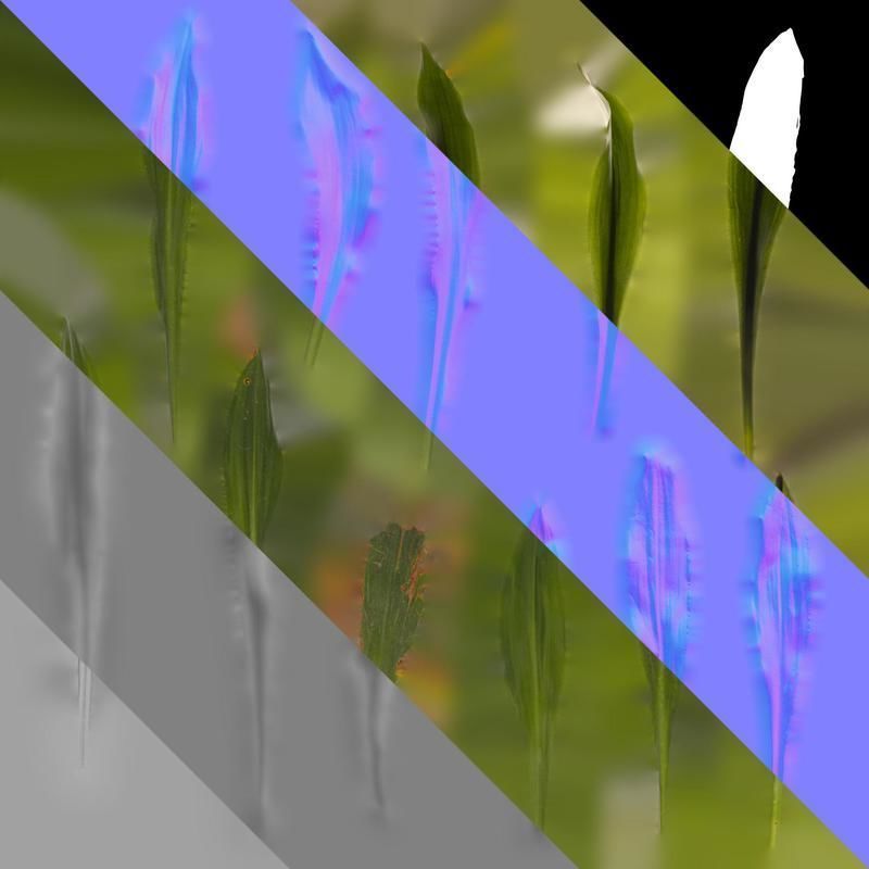 Anydrafts Rohdea japonica Leaf 01 Texture_8