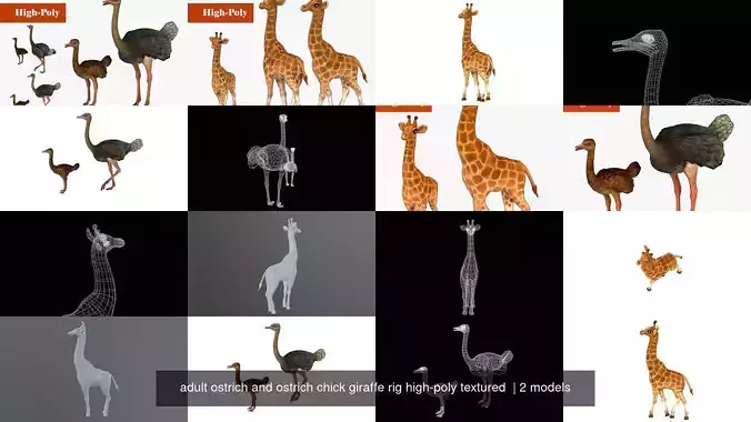 adult ostrich and ostrich chick giraffe rig high-poly textured 