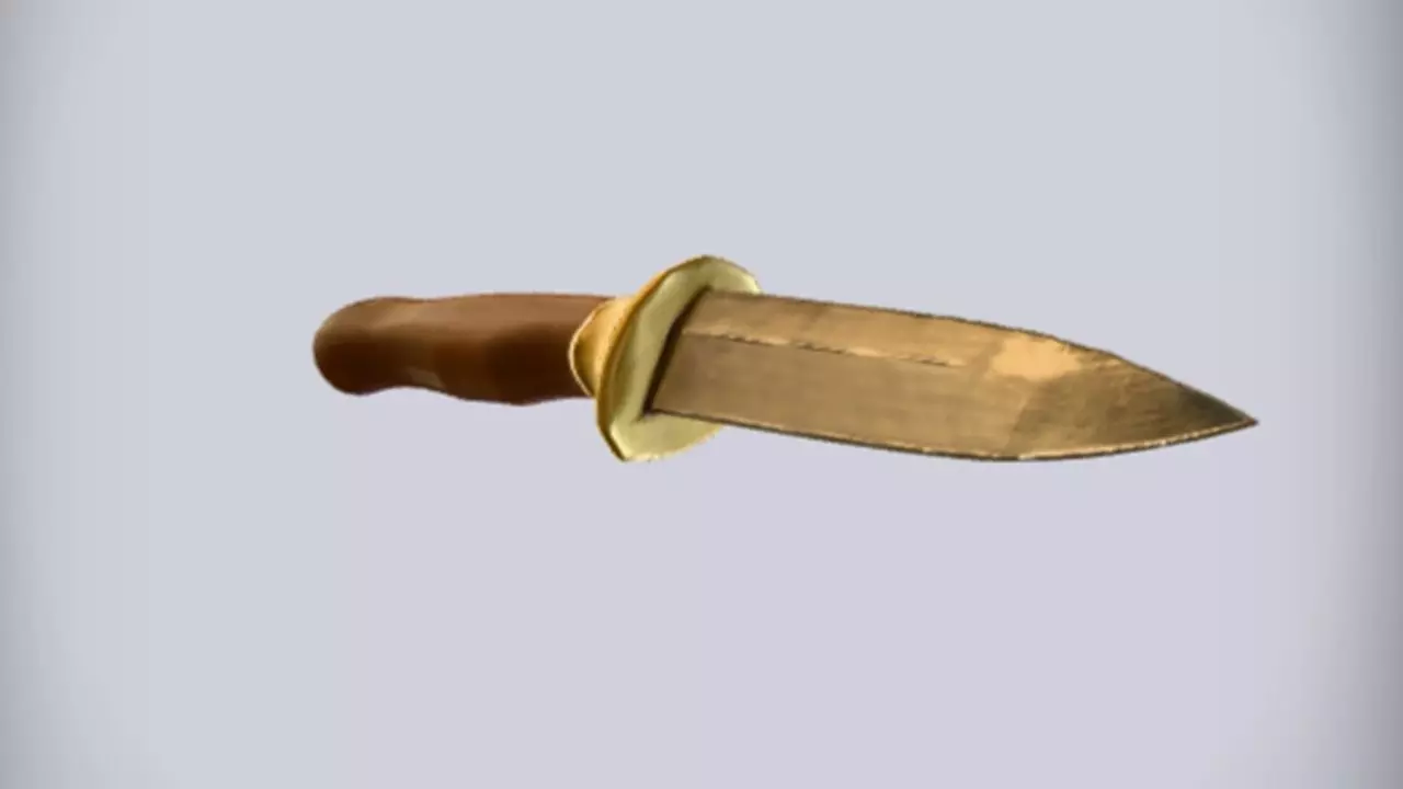 wooden handled knife 3D model_0
