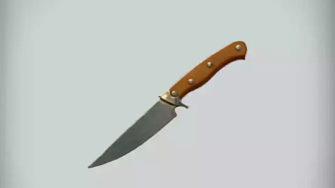 wood handled kitchen knife