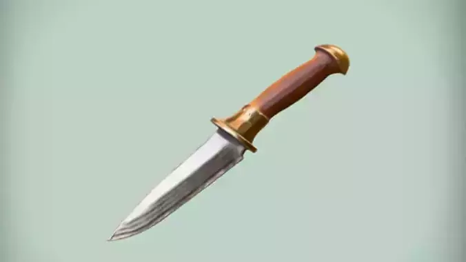 wood handled dagger