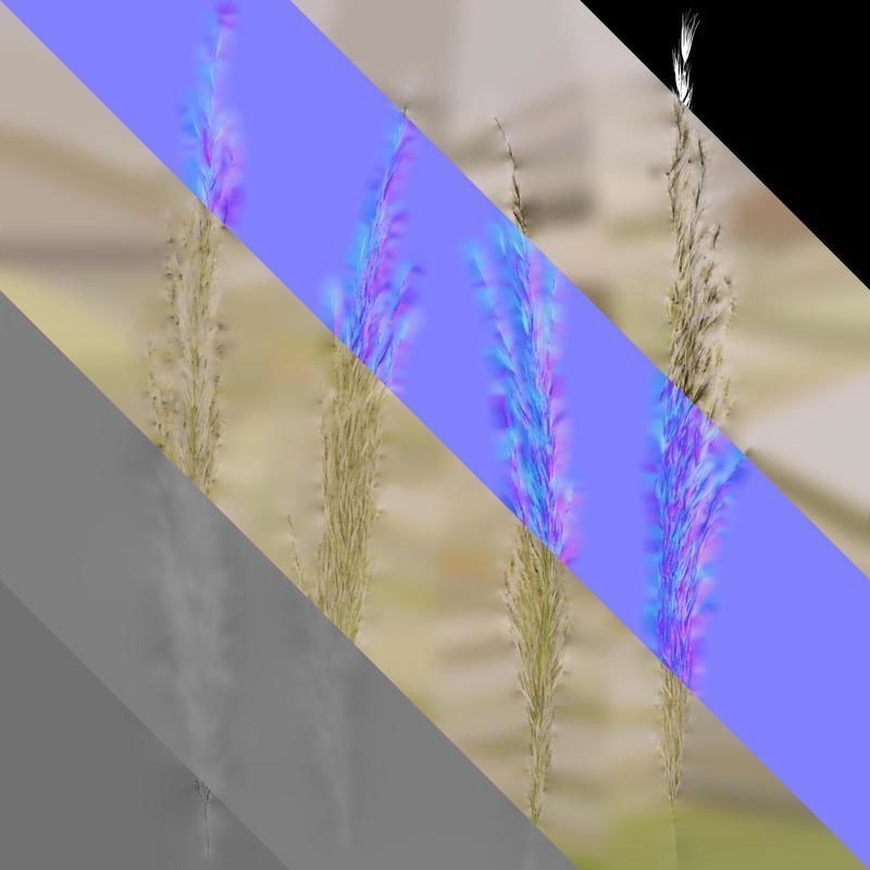 Anydrafts Saccharum arundinaceum Inflorescence 03 Texture_8