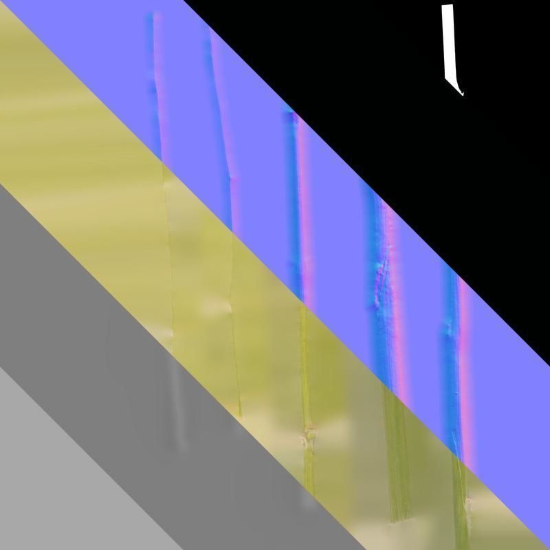 Anydrafts Saccharum arundinaceum Stem 02 Texture_8