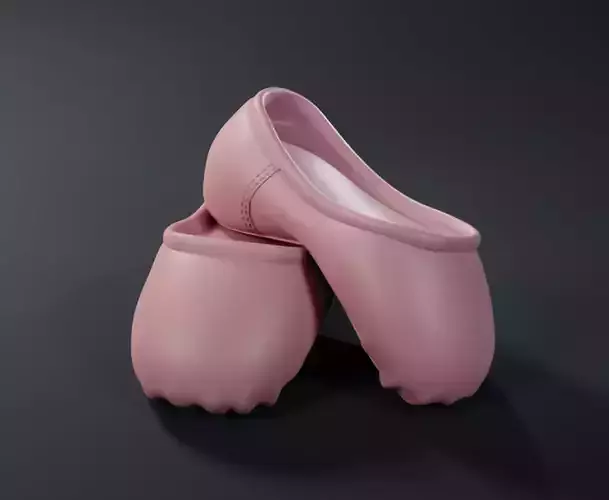 Little Girl Ballerina Shoes