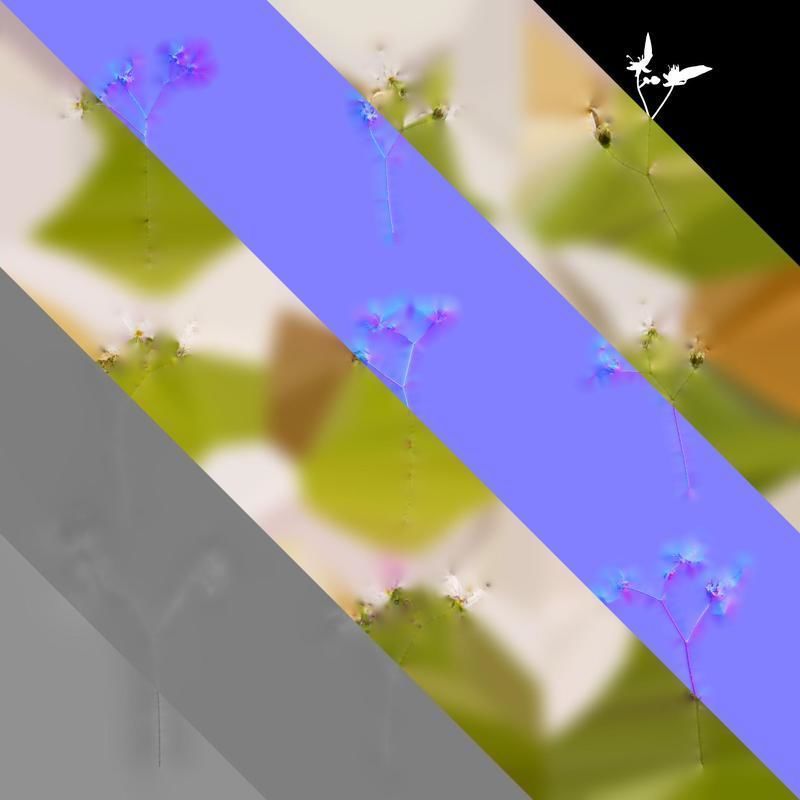 Anydrafts Saxifraga stolonifera Flower 02 Texture_8