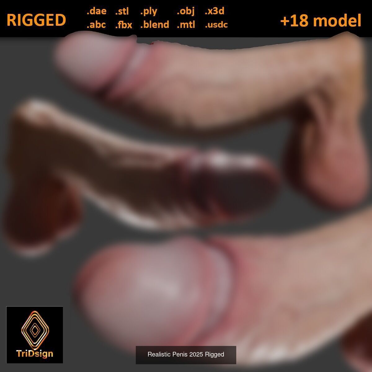 Realistic Penises Lowpoly Rigged Bundle 3D Model Collection_3