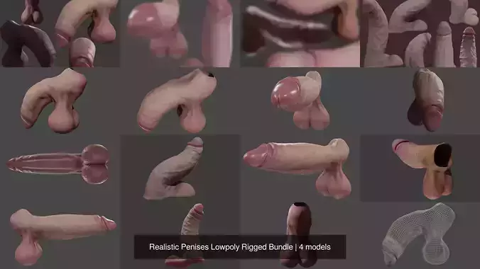 Realistic Penises Lowpoly Rigged Bundle 3D Model Collection
