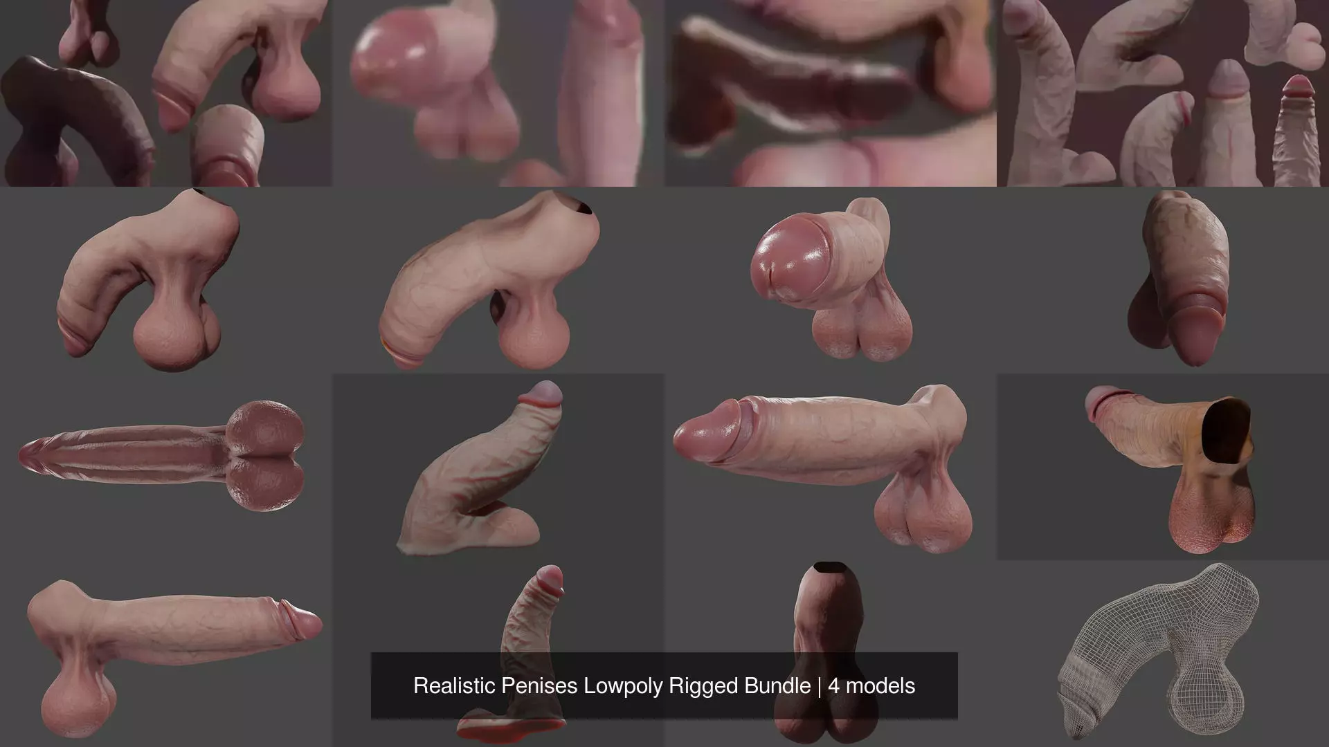 Realistic Penises Lowpoly Rigged Bundle 3D Model Collection_0