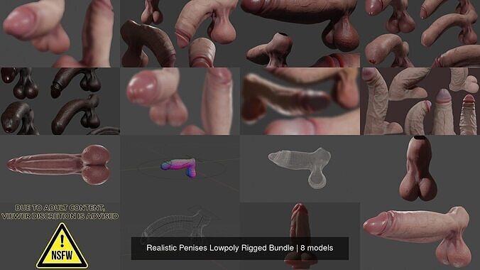 Realistic Penises Lowpoly Rigged Bundle 3D Model Collection
