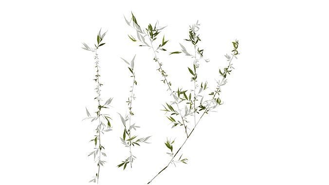 Anydrafts Salix Atlas 04 Texture