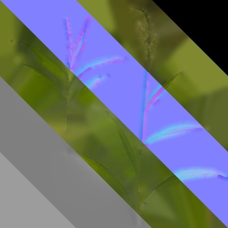 Anydrafts Setaria palmifolia Atlas 05 Texture_8