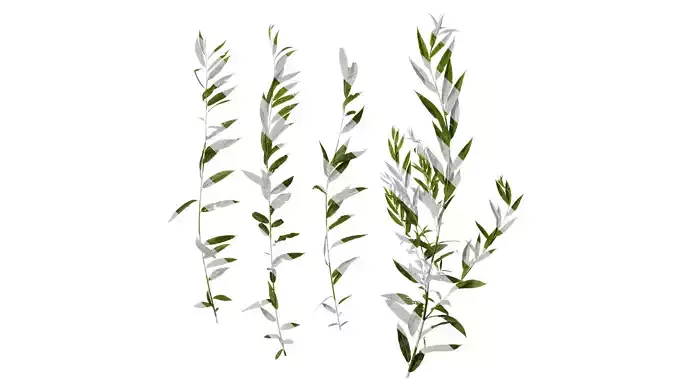 Anydrafts Salix Atlas 06