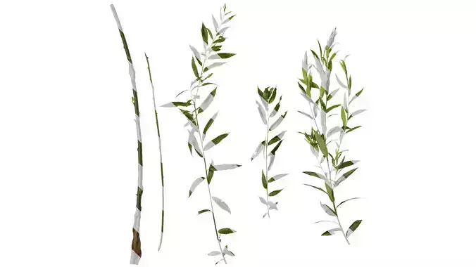 Anydrafts Salix Atlas 08