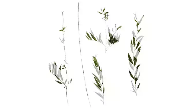 Anydrafts Salix Atlas 09