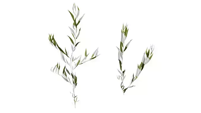 Anydrafts Salix Atlas 11