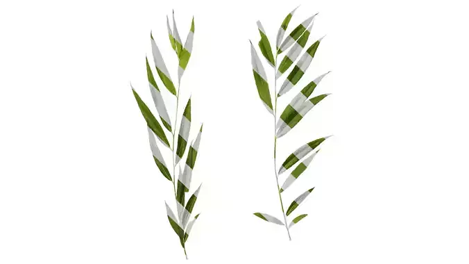 Anydrafts Salix Atlas 12