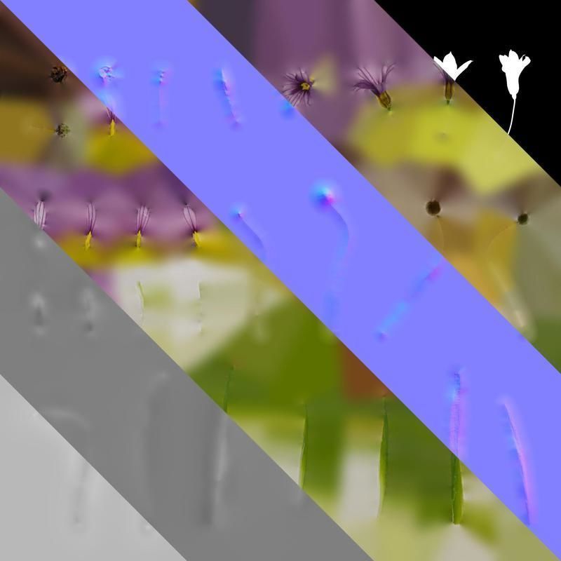 Anydrafts Sisyrinchium rosulatum Atlas 03 Texture_8