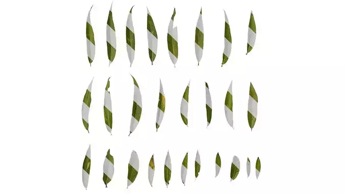 Anydrafts Salix Leaf 02