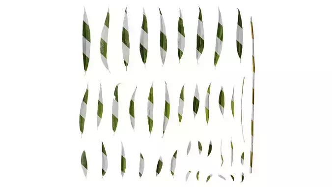 Anydrafts Salix Leaf 04