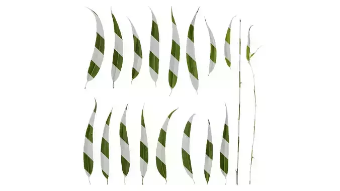 Anydrafts Salix Leaf 06