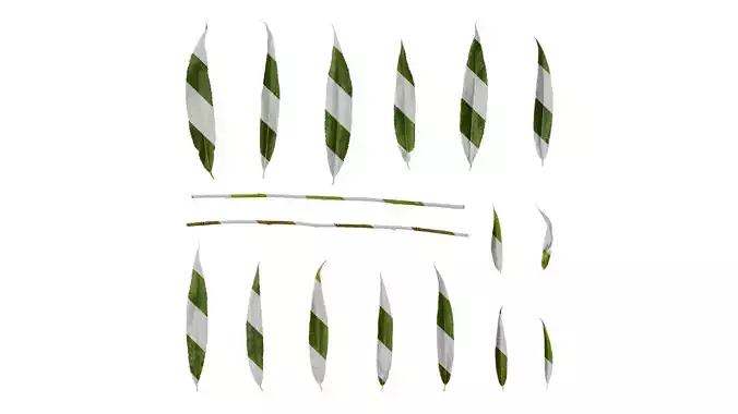 Anydrafts Salix Leaf 08