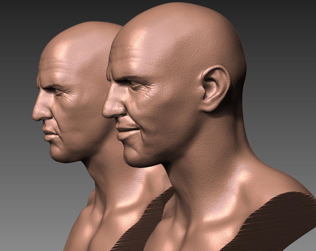 MUMMY Imhotep bust 3D print model_15