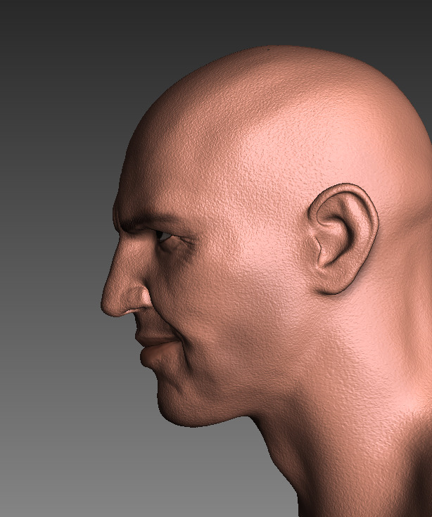 MUMMY Imhotep bust 3D print model_11