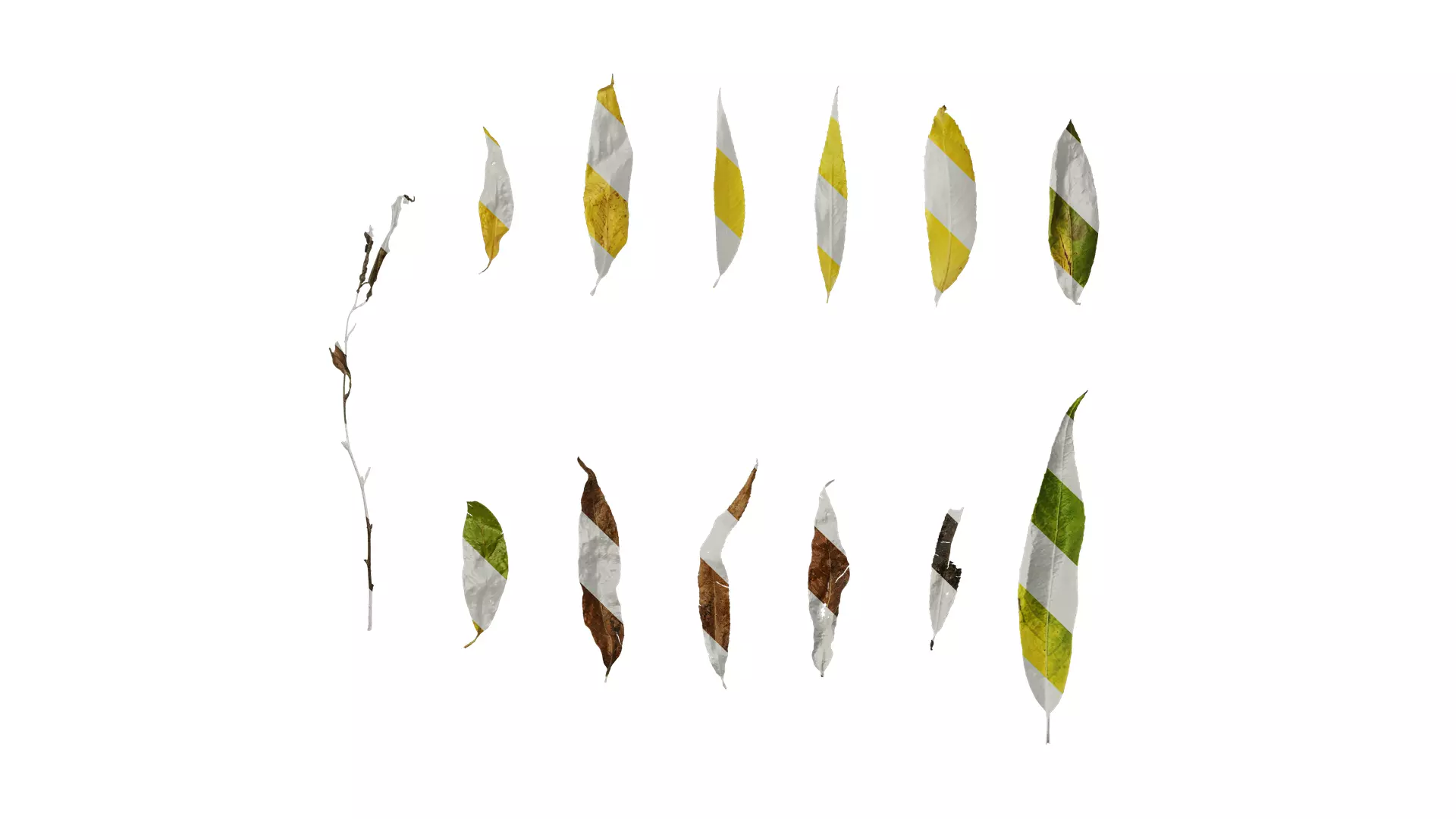Anydrafts Salix Leaf 11 Texture