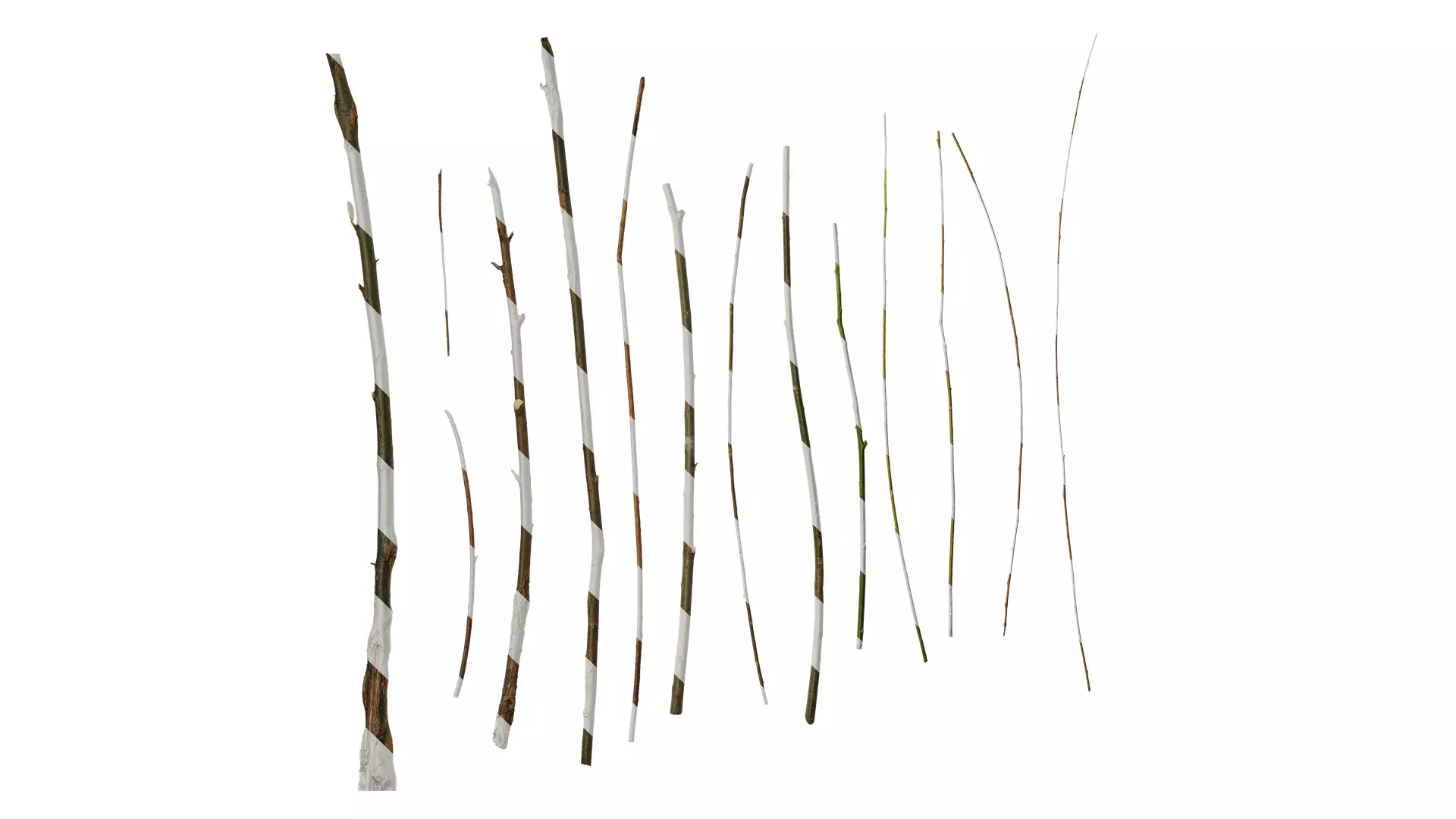 Anydrafts Salix Trunk 01 Texture_0