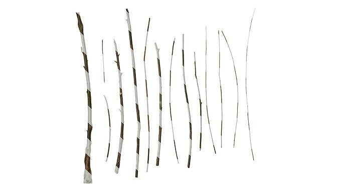 Anydrafts Salix Trunk 01 Texture