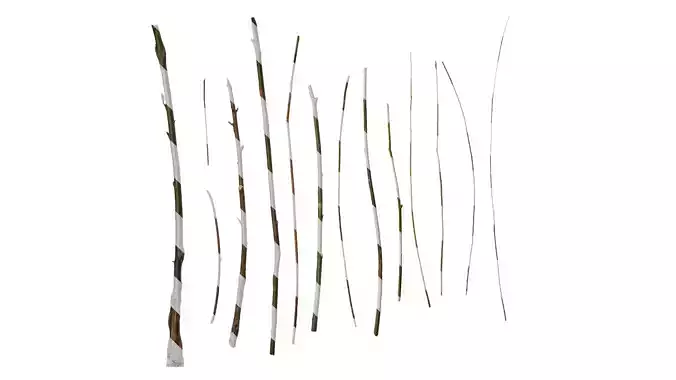 Anydrafts Salix Trunk 01