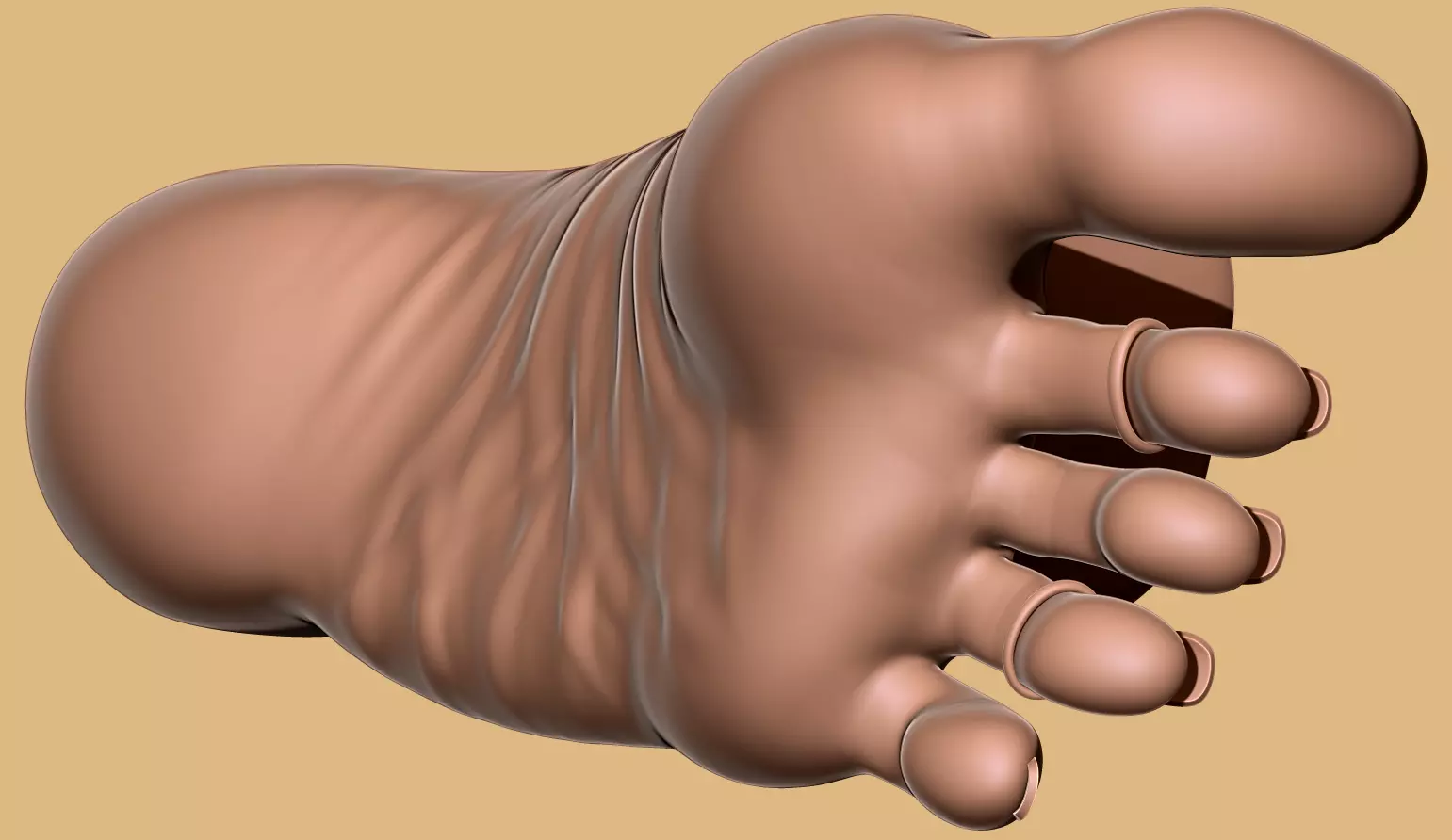 Female Foot - Big Toe Pointing Pose - Printable - Scan-Based 3D print model