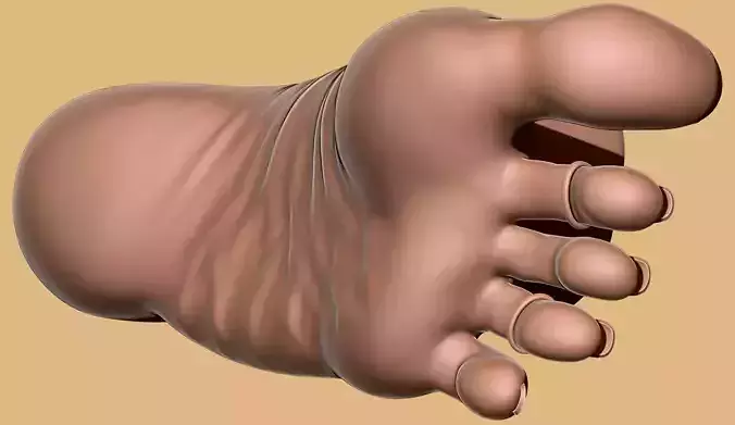 Female Foot - Big Toe Pointing Pose - Printable - Scan-Based