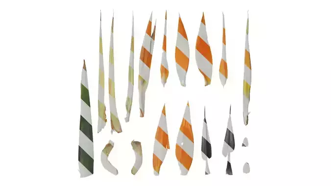 Anydrafts Strelitzia reginae Flower 04 Texture